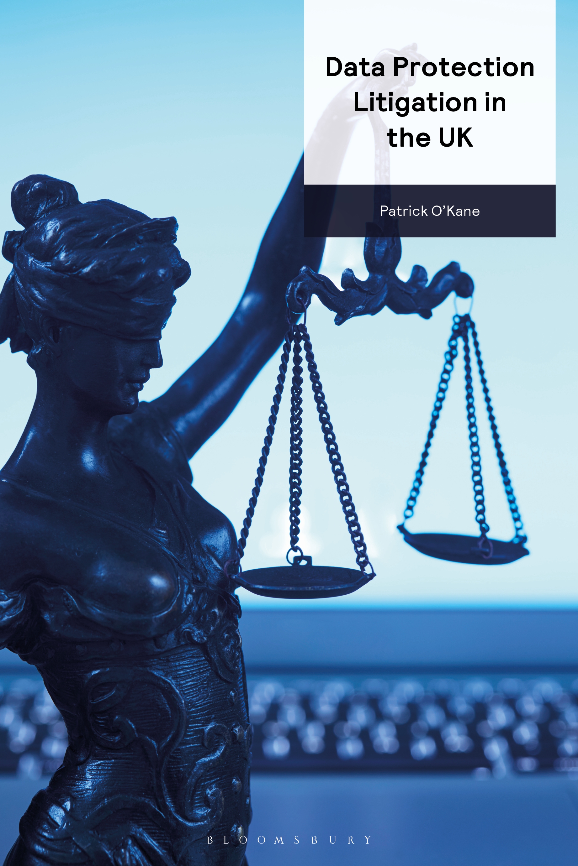 Data Protection Litigation in the UK book jacket